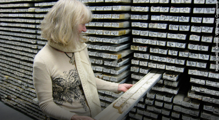 Geologist analyzes core samples at drill site, Baltimore, US